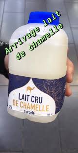 Cacao 50% minimum, lait de chamelle entier en poudre (10%), sel, cacahuètes (15%), pâte de cacao, sucre, beurre de cacao, lécithine de tournesol. Nouvel Arrivage De Lait De Chamelle Dubai Center Lyon