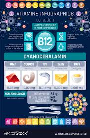 Cyanocobalamin Vitamin B12 Rich Food Icons