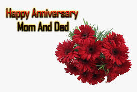 Maybe you would like to learn more about one of these? Happy Anniversary Mom And Dad Png Free Background Free Happy Anniversary Mom And Dad Transparent Png Transparent Png Image Pngitem