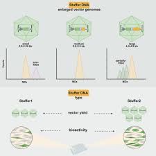 Image result for Gold 1996 AAV