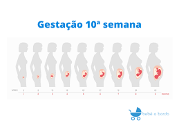 A Gestacao 10ª Semana