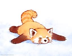 Pin By Linda Young On Malen Panda Art Cute Animal Illustration Animal Drawings