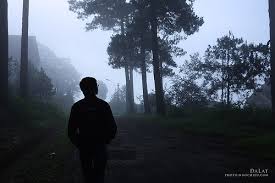 Image result for BUá»’N