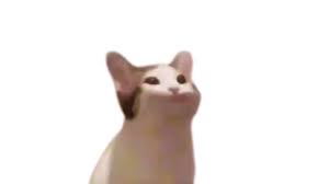 Bop Cat Youtube