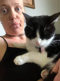 Lost cat found in parking lot