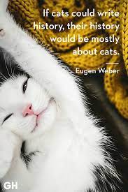 Flowers always make people better, happier, and more helpful; 25 Best Cat Quotes That Perfectly Describe Your Kitten Funny And Cute Cat Quotes