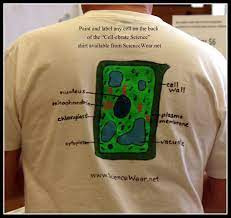 Maybe you would like to learn more about one of these? Plant Cell Painted On The Back Of A Cell Ebrate Science Shirt A Project That Won T Get Tossed Into The Cells Project Plant Cell Project My Science Project