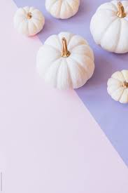 Download pumpkin white background images and photos. White Pumpkins On Pink And Purple Background By Natasa Mandic Pumpkin White