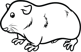 Check spelling or type a new query. Guinea Pig Coloring Pages Best Coloring Pages For Kids