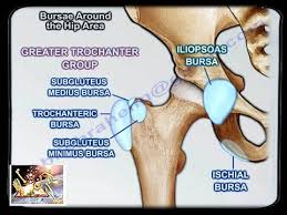 Bursa valiliği'nden i̇l hıfzıssıhha kurul. Bursae Around The Hip Area Everything You Need To Know Dr Nabil Ebraheim Youtube