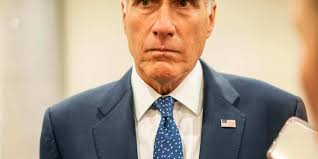 Articles & Insights by Hailey Waller