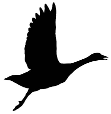 Black And White Goose Silhouette Displaying 19 Gallery Images For Goose Silhouette Plasma Cutter Art Bird Outline Owl Silhouette