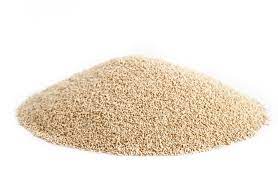 Yeast Definition And Meaning Collins English Dictionary