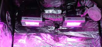 Atlantis hydroponics™ proudly sells viagrow™ grow room tents and complete grow room set ups. Grow Tent Setup Guide Hydrobuilder Learning Center