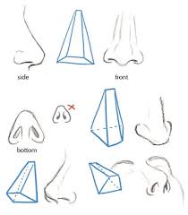See more ideas about art reference, art tutorials, drawing tutorial. Human Anatomy Fundamentals Basics Of The Face