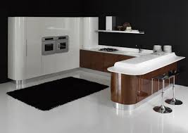 modern kitchen interior designs: modern