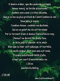 Sonnet 22 L Olive Cultivons Nous