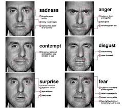 Lie To Me Micro Expressions Chart Guide To Reading