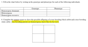 fill in the chart below by writing in the genotype and