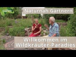 Ein Herz Fur Heimische Wildkrauter Naturnaher Traumgarten Bei Hannover Youtube In 2020 Traumgarten Mdr Garten Garten