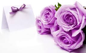 Wallpaper warna ungu 68 wallpapers. Wallpaper Ungu Lucu Purple Roses Background 1600x1000 Wallpaper Teahub Io