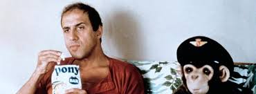 Gib dem affen zucker (1981) deutsch stream german online anschauen. Gib Dem Affen Zucker Komodien Satiren Und Liebesfilme Movie Infos