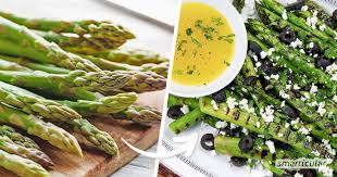 Das beweisen die vielen leckeren salat rezepte in dieser rubrik. Rezepte Mit Grunem Spargel Leicht Zuzubereiten Und Einfach Kostlich