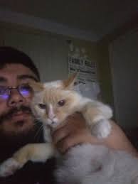 what if this isn't a random pic of me chilling in a hoodie and petting my  cat but it's actually a teaser to a limited edition merch piece that i'm  releasing only