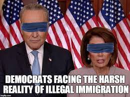 Image Tagged In Birdbox Chuck Schumer Nancy Pelosi Imgflip