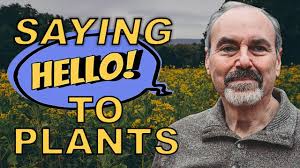 Plant Communication & Intuition in Herbalism with David Winston