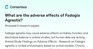 Image result for Fadogia ancylantha