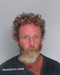 WOLF JASON FREDRICK 11/12/2024