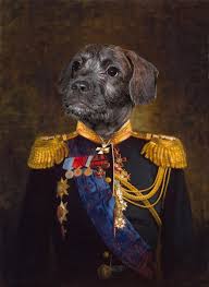 We at royal pet portraits want to give you as an animal lover and/or pet owner a way to make your beloved pet last in a. Royal Cats Dogs Royalcatsdogs Twitter