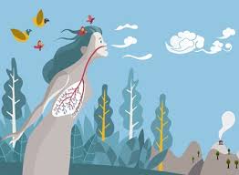 Two primary breathing techniques 1. Get More Out Of Your Run With These Better Breathing Tips