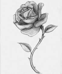 Im The New Badass Bwwm Chapter 13 Pencil Drawings Of Flowers Rose Sketch Rose Drawing Pencil
