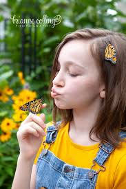 Brianne Colling Photography...