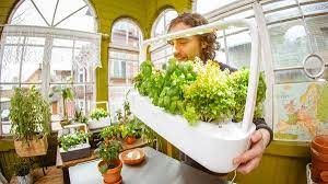 The click and grow smart garden has so many purposes. Click And Grow Review America S Test Kitchen Reveals The Best Indoor Click Grow