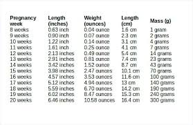 Baby Weight Chart During Pregnancy In Grams Uk Www