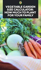 How much water should i give my garden? Vegetable Garden Size Calculator How Much To Plant For Your Family