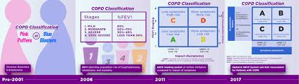 Image result for COPD Staging