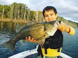Freshwater Fishing Australia Home Facebook