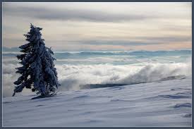These 20 magical wintery photos when i told local berliners years ago that it was going to be my first winter in germany (and really, in. Elevation Of Black Forest Todtnau Germany Topographic Map Altitude Map
