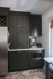 Black Kitchen Cabinets Pros And Cons