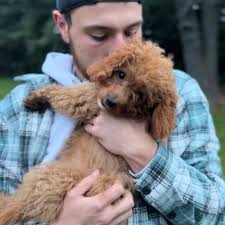 Michaela Arsenault and Ethan Swan's Wedding Website