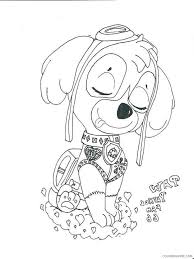 Her primary purpose is to keep a close eye on emergencies from above using her helicopter, and using her helicopter's grappling hook to save people and. Paw Patrol Coloring Pages Tv Film Skye Paw Patrol 11 Printable 2020 05998 Coloring4free Coloring4free Com