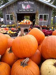 Maybe you would like to learn more about one of these? Pumpkin Patches And Corn Mazes In Waterloo Region Explore Waterloo Region