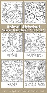 Discover the 12 weirdest animal names, from the screaming hairy armadillo to the sarcastic fringehead. Animal Alphabet Coloring Printables S T U V W X 1 1 1 1