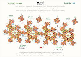 Tetryonics 106 05 Starch Is Another Example Of A Complex Linear Carbohydrate Polymer Chain Held Together With Glycosidic Bonds