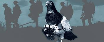 The Pigeon Hero Of World War I