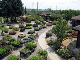 A Photo Taken Near Our Customer Service Area Urban Tree Farm Nursery Tree Farms
